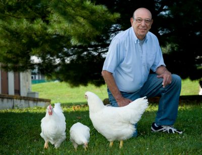 Paul Siegel and his chickens