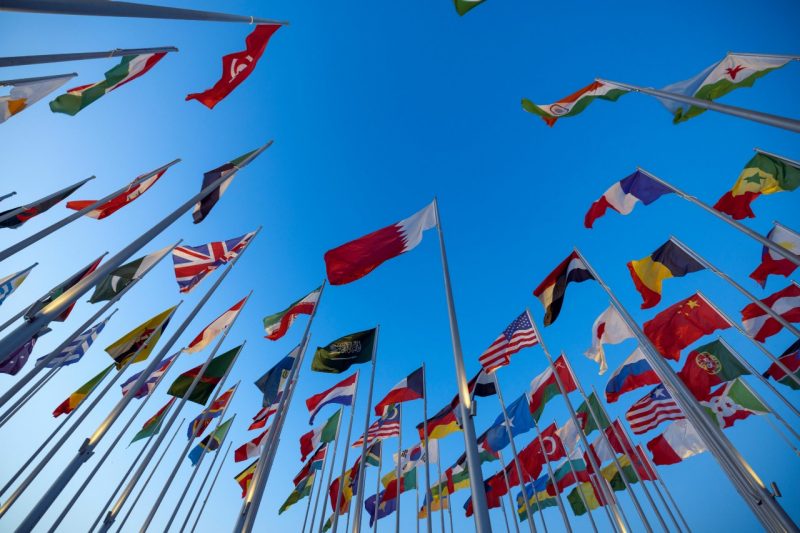 Dozens of colorful international flags against a bright blue sky.