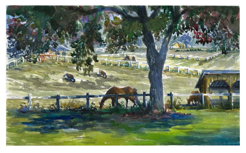 Watercolro sketch of horses in a field