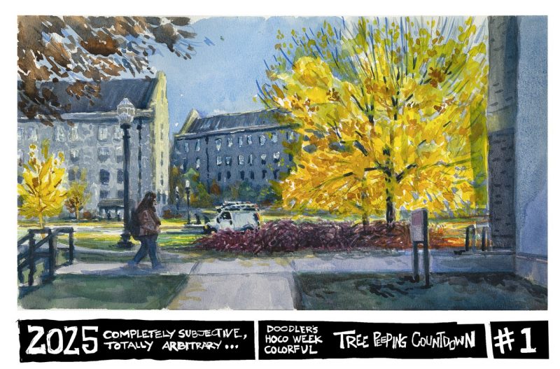 Watercolor sketch of the number one tree in the tree peeping countdown 2025.... trees in front of Litton Reaves Hall
