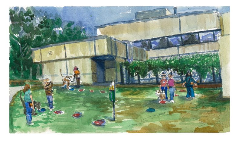 Watercolor and ink sketch of Animal Science Students training dogs as part of the Shelter Dog Program