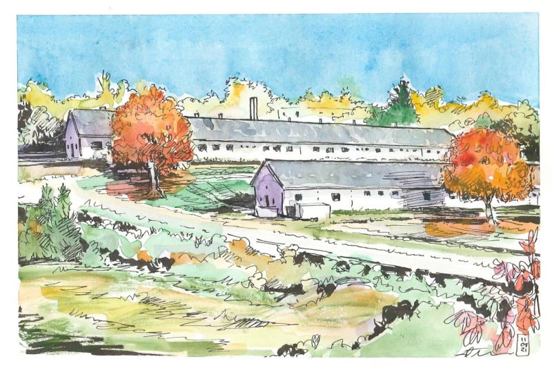 Ink and sketch of autumn colors on Chicken Hill