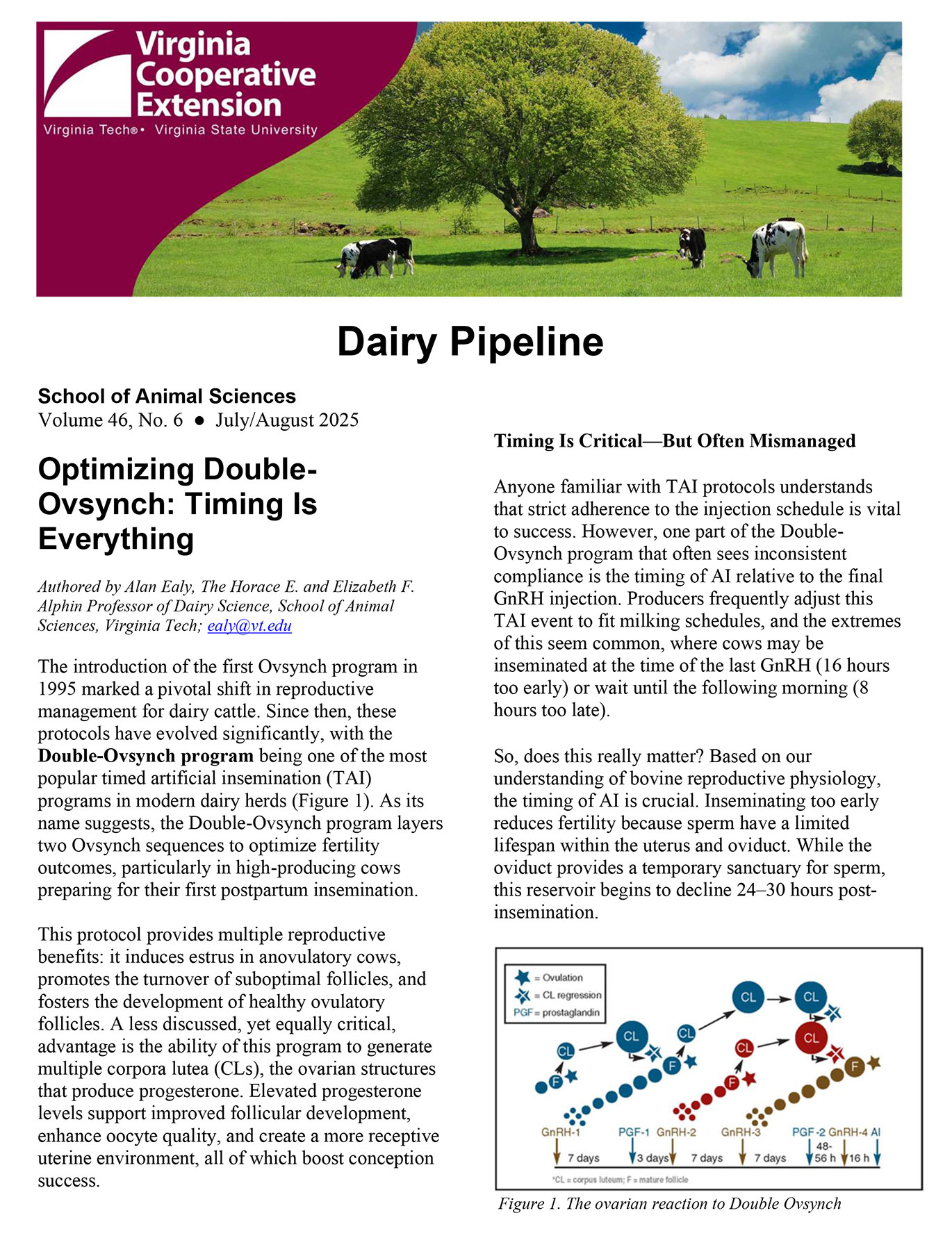 Screenshot of the linked document.