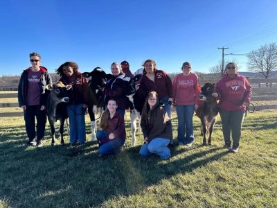 H.E.I.F.E.R.S. at Virginia Tech students with the first heifers born into the program. Blue sky, HokieBird figure, and fence in the background.