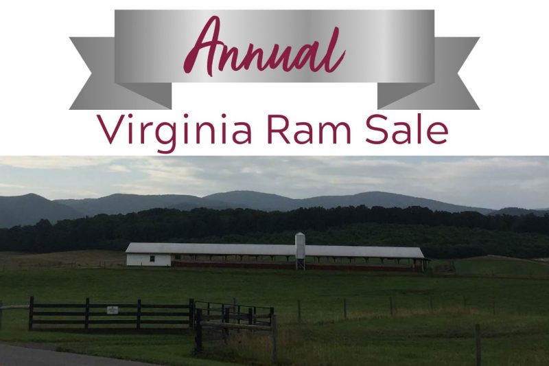 Photo of the entrance to the Virginia Sheep Evaluation Center at the Virginia Tech Shenandoah Valley Research and Extension Center. Steeles Tavern, VA. Verbiage: Annual Virginia Ram Sale.