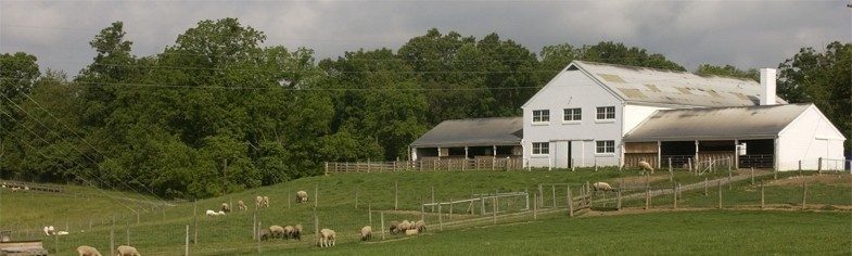Copenhaver Sheep Center building in the background with sheep grazining on green grass in the foreground.