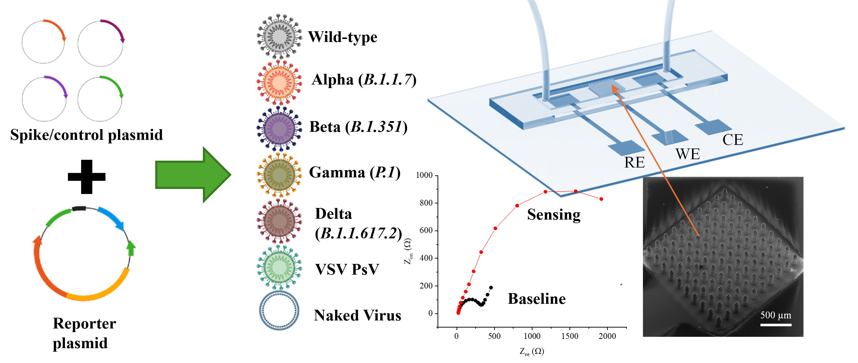 Complex image. Please refer to the caption.