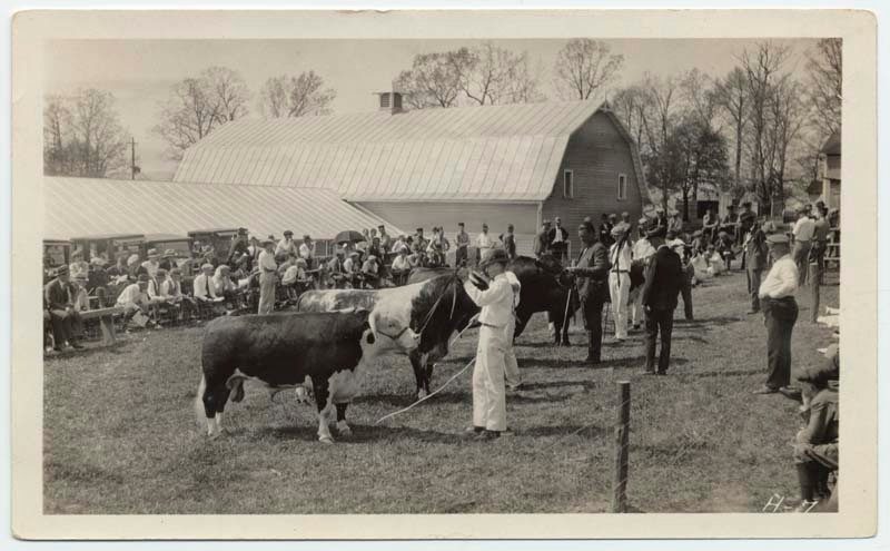 Beef Show 1920 - 1930s. Special Collections.