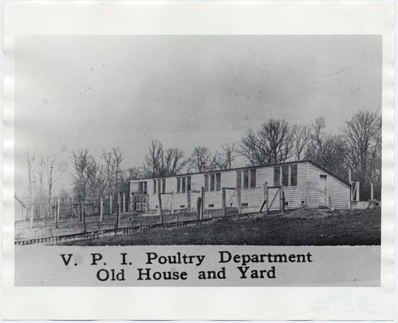 VPI Poultry Department Old House and Yard. From Special Collections. No date given.