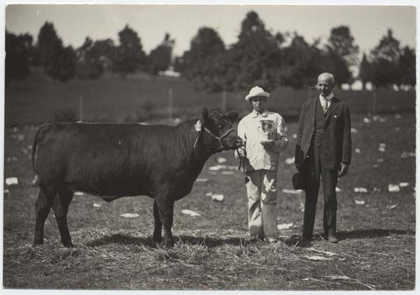 	Henry W. McLaughlin with his blue ribbon baby beef, Daisy. VPI, circa 1932. Special Collections.