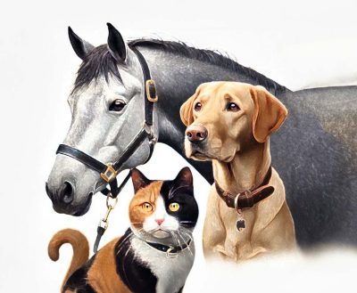 Illustration of a gray horse, calico cat, and lab mix on a white background.