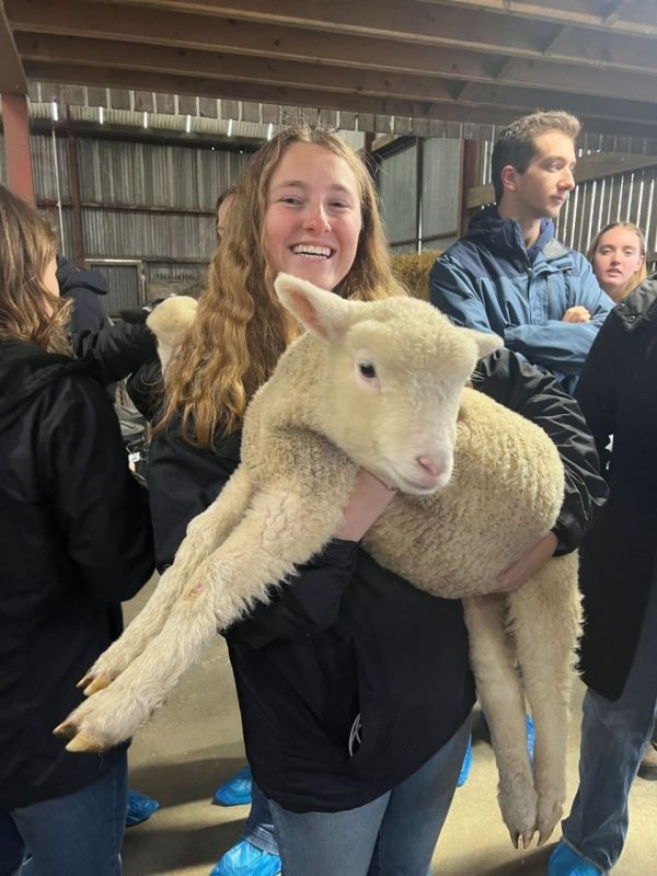 A smiling young woman holding up a lamb.