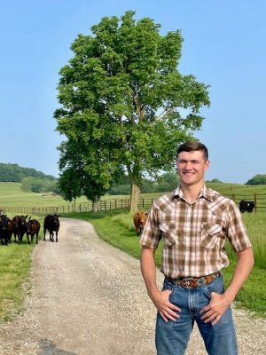 Young man in a plaid shirt standing on a gravel road with cattle behind him. Green grass, wooden fencing and tall tree in the background.