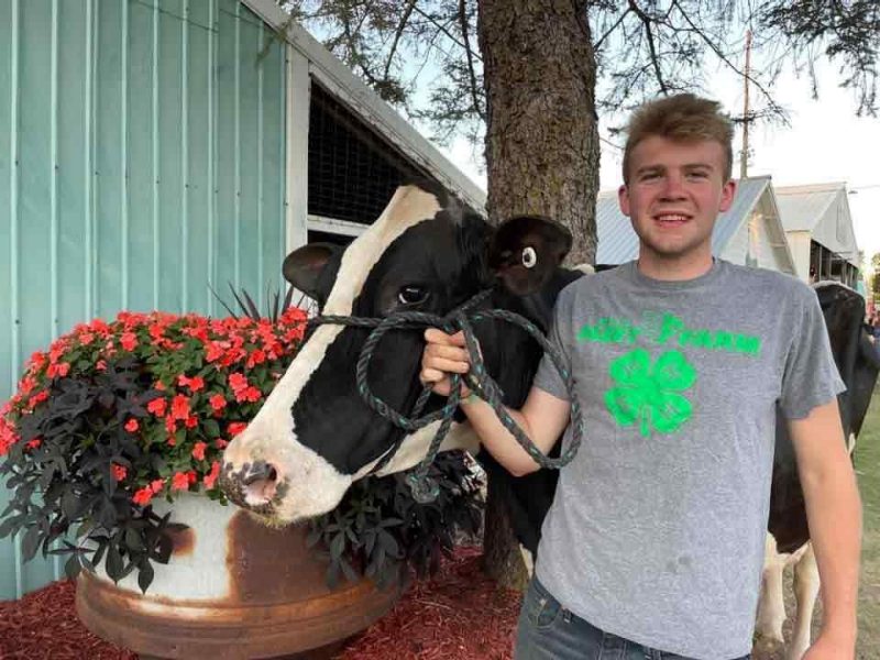 Young man wearing a 4-H t-shirt holding the halter of a Holstein cow. Large pot with flowers and barn in the background.