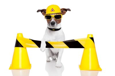 "Under Construction". A small white and brown dog wearing a yellow hardhat with it's paw resting on construction/caution tape connecting two yellow caution cones.