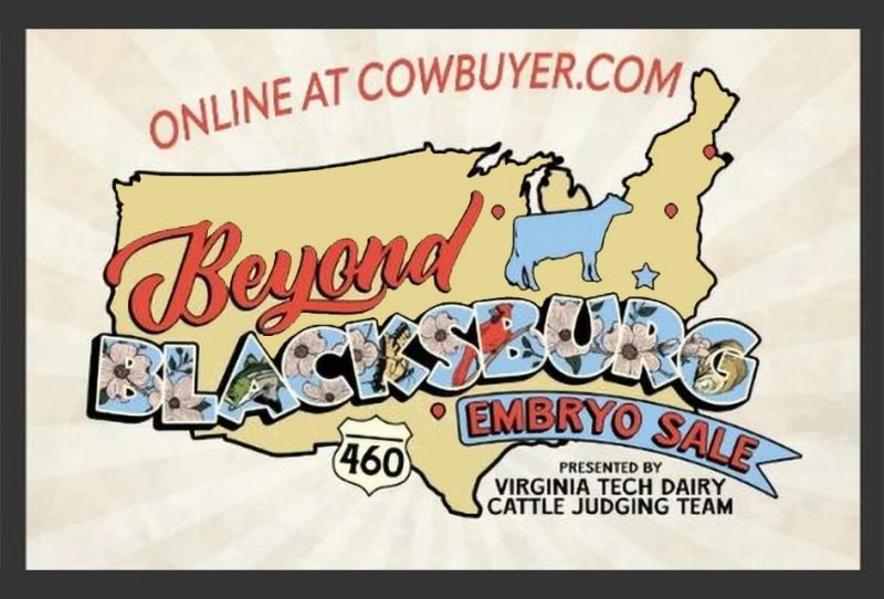Map of US, "Beyond Blacksburg Embryo Sale" presented by Virginia Tech Dairy Cattle Judging Team.