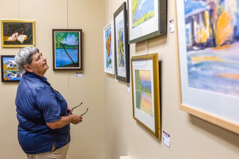 Lifelong Learning Institute art exhibit opens in Pulaski