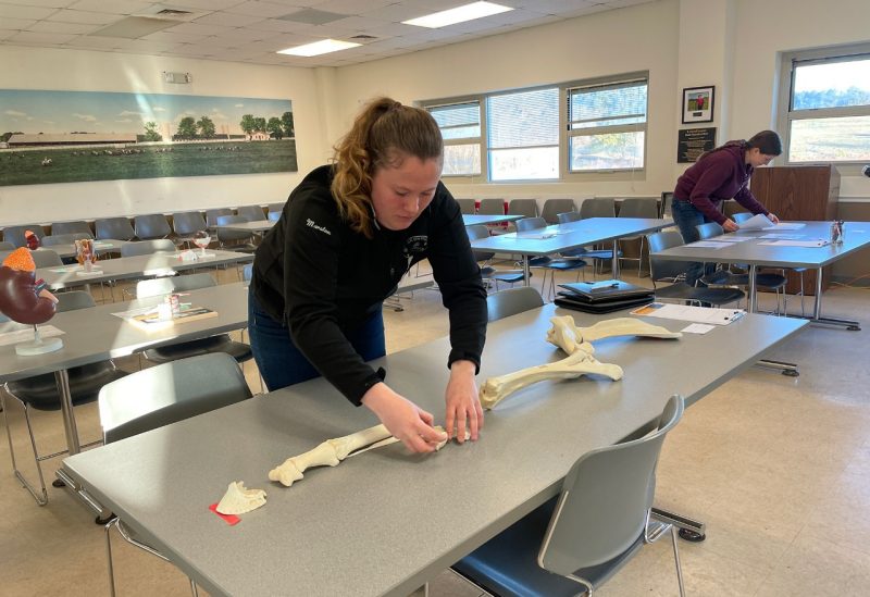 Student identifying bones at the Academic Quadrathlon.