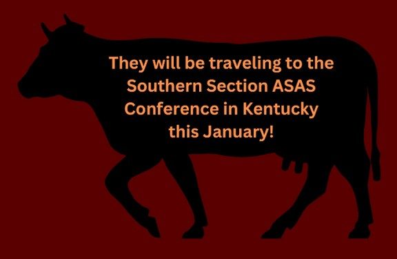 Graphic of a cow with: "They will be traveling to the Soputhern Section ASAS Conference in Kentucky January 2024!