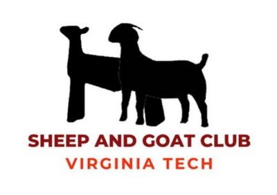 Sheep & Goat Club