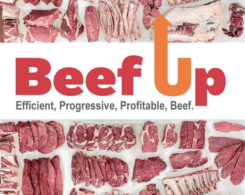 Beef-Up