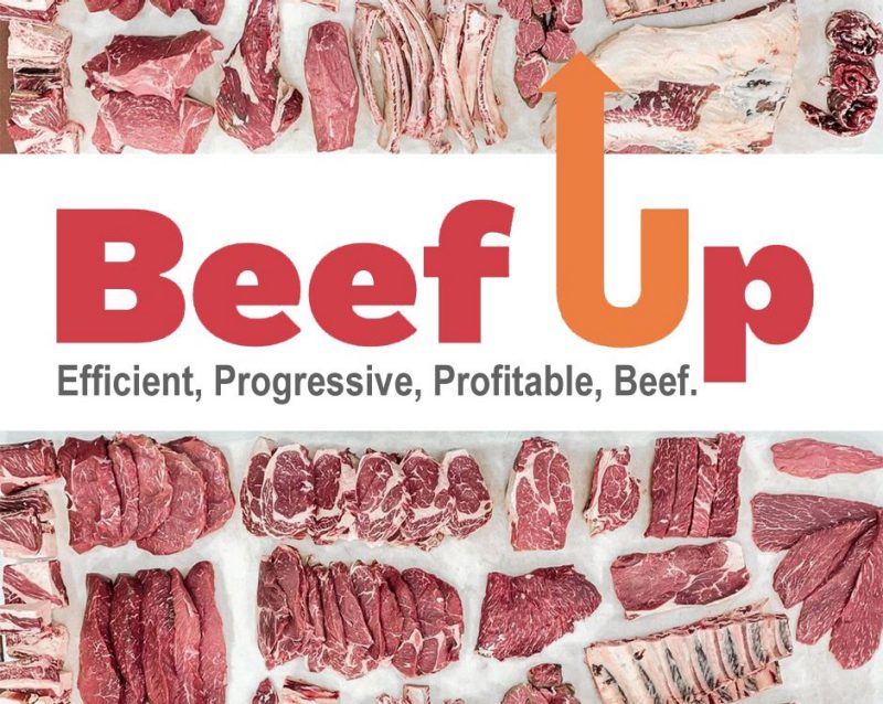 Beef Up graphic with an arrow pointing up on the "U". Background: various cuts of meat nicely arranged. Text: Beef Up - Efficienct, Progressive, Profitable, Beef.