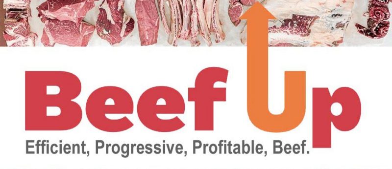 Beef Up mini header. Efficient, Progessive, Profitable, Beef.
