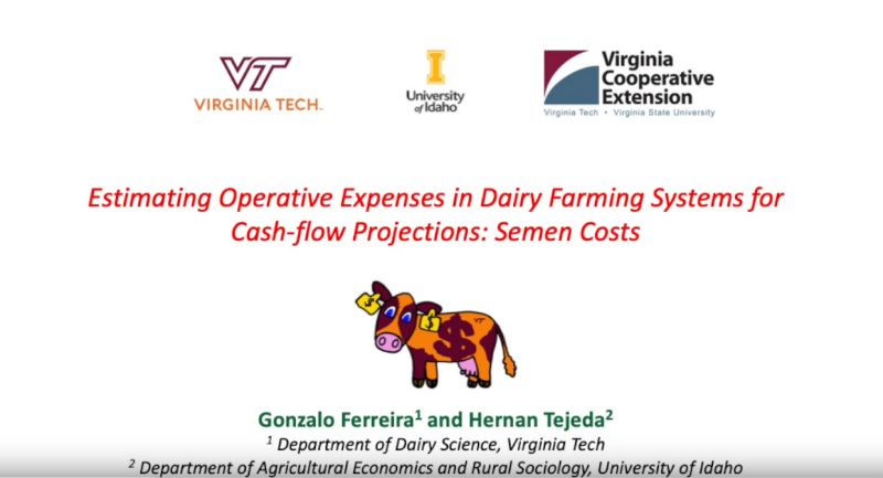 Estimating Semen Cost at the Dairy Farm Video