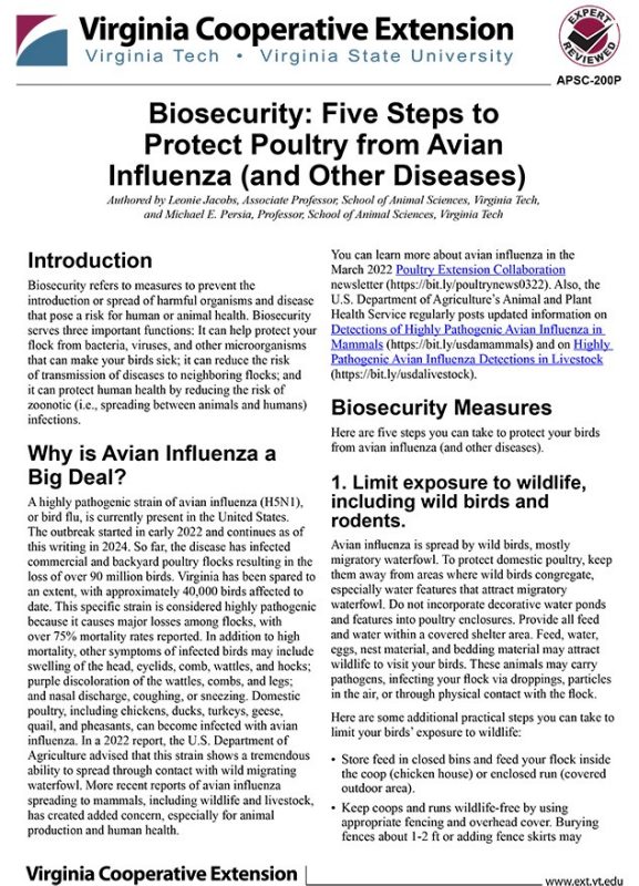 FAQs about food safety and Avian Flu from USDA. Screenshot of the linked document.