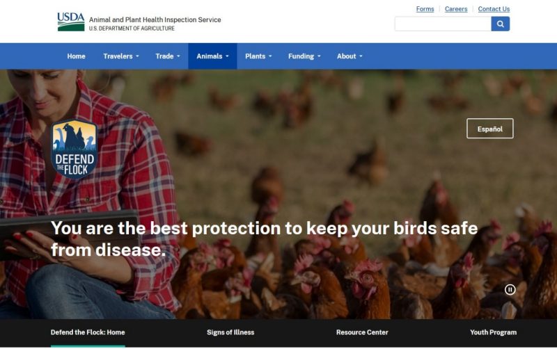 Screenshot of the linked page. Defend the Flock. USDA.