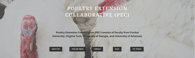 Screenshot of the linked Poutry Extension Collaborative (PEC) site.