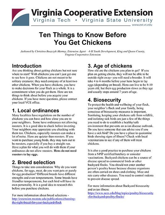 Screenshot image of VCE Publication. Ten Things to Know Before You Get Chickens.