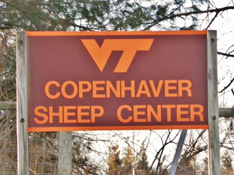 Snapshot image of the VT Copenhaver Sheep Center sign. Orange letters on maroon background.