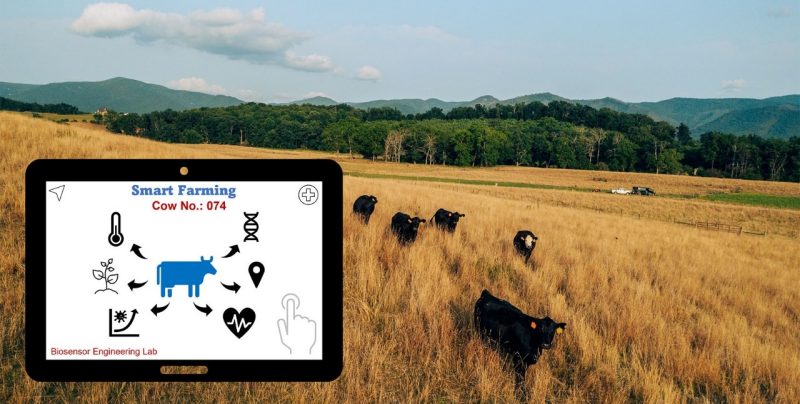 Tablet image with Smart Farming icons-Biosensor Engineering Lab overlayed onto a photo of cattle with eartags in a field. Fence inthe background. Truck and green trees in the back.