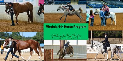       Virginia Cooperative Extension / 4-H Youth Development / 4-H Horse Program  4-H Horse Program