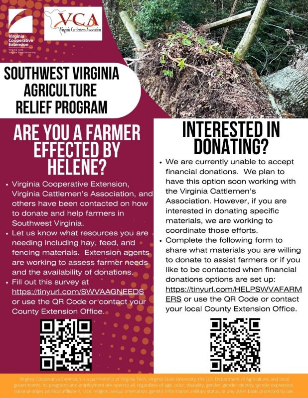 Many counties in Southwest Virginia have received significant damages because of Helene.  Many have reached out asking how they can help and are wanting to specifically assist farmers in need.  Extension Agents in Southwest Virginia are working to assess farmer needs and the availability of donations.  If you have anyone interested in donating, we are working to coordinate those efforts.  We are trying to get materials where they are needed.  We also do not want to create problems with donations in areas not setup to accept. Please share the attached flyer with those who might be interested in donating.  We are working with the Virginia Cattlemen’s Association on accepting financial donations and hope to have that set up soon.  All those interested in donating can fill out this form:  https://tinyurl.com/HELPSWVAFARMERS.   We are working with farmers to assess their needs.  Any farmer affected by the storm that needs assistance can fill out this form to let us know: https://tinyurl.com/SWVAAGNEEDS.  Extension Agents will also be adding farmers to the list with their needs.  If you have questions, please feel free to contact Amy Gail Byington at the Lee County Extension Office at (276) 546-2057 or cell (276) 698-4506 or other Southwest Virginia Extension Agents.  Please be aware that Extension Agents in the hardest hit counties may be unavailable.  