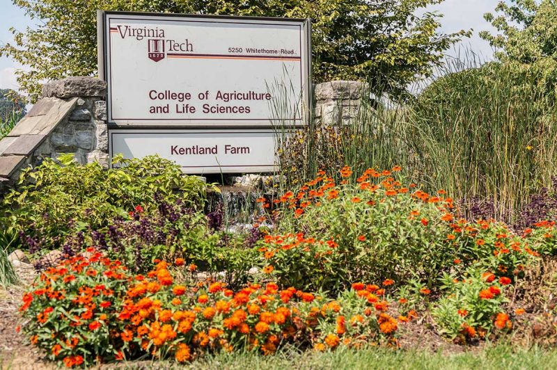 College of Agriculture and Life Sciences entry sign to Kentland Farm.