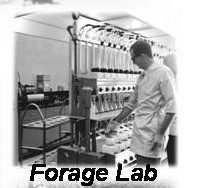 Early photo of Forage Testing Lab. No date given. Photo from Dr. Carl Polan's collection.