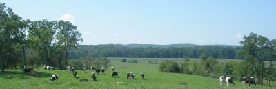 Virginia 4-H Dairy Youth Program